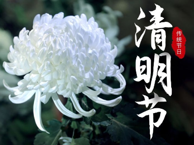 今日清明，睿寂行緬懷先烈！