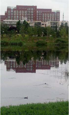 睿寂行空壓機(jī)新址全貌